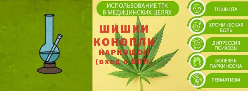 Каннабис семена  где продают наркотики  Павловск 